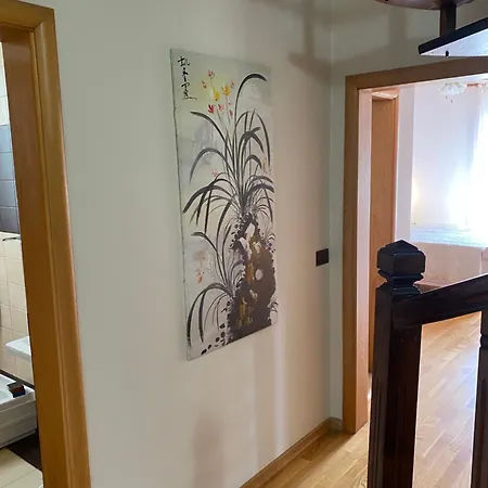 Comfy Spacious Duplex * Tirana