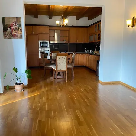 Comfy Spacious Apartment