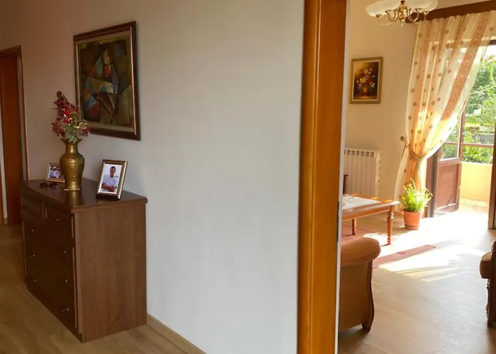 Comfy Spacious Apartament